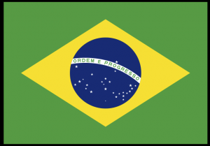 Brazilian Flag