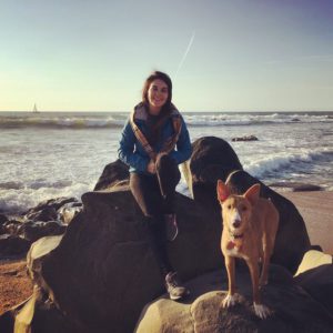 Portuguese-Online-Course-Beginners-A2-Level