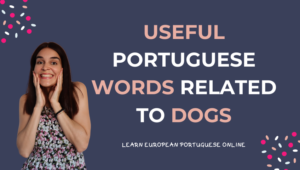 Useful Portuguese Words Related To Dogs