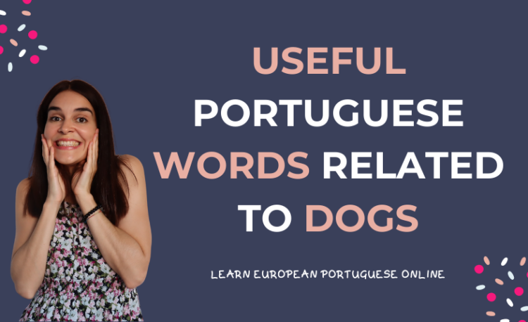 Useful Portuguese Words Related To Dogs