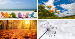 4 seasons, summer, spring, autumn, winter